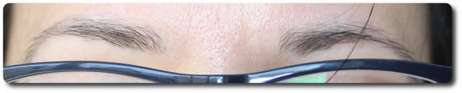 Brow Battle: Anastasia Beverly Hills Dipbrow Pomade vs. Inglot AMC Brow Liner Gel