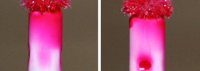 Красный амарант: Sephora Long-Lasting Vinyl Lip Lacquer, оттенок Red