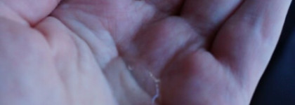 Совместить несовместимое: Avalon Organics TEA Tree Scalp Treatment Shampoo и кондиционер Shiseido Tsubaki shining with natural tsubaki oil