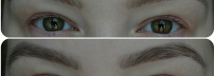 Хвала тем, кто придумал краски для бровей! Расскажу и покажу в действии крем-краску для бровей и ресниц Concept Profy Touch Eyelashes And Eyebrows Color Cream