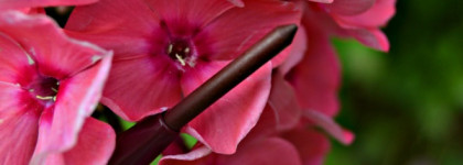 Расчудесная текстура корейских карандашей VOV заставила меня пересмотреть свое отношение к контуру губ