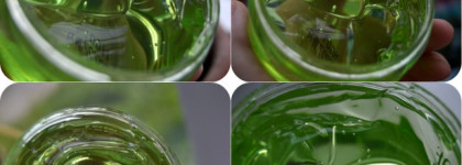 The Skin House Aloe Soothing Gel