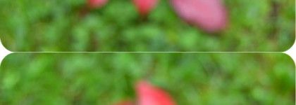 Красивый, нежный, увлажняющий. Это все он - Yves Saint Laurent Gloss Volupte #210