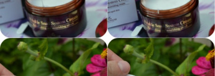 The Skin House Wrinkle Snail System Cream - вот это я понимаю, улитки! Самый необычный крем для лица, которым мне приходилось пользоваться
