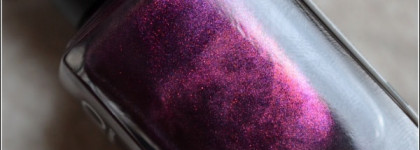 Коварный обманщик Kiko #245