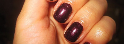 Моя прекрасная осень с Dance Legend 004