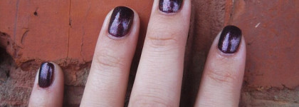 Моя прекрасная осень с Dance Legend 004