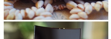 Yves Rocher Face Powder Collector #01 Teinte Universelle