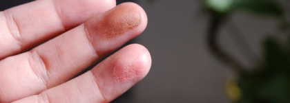 E.lf. Studio Contouring Blush & Bronring Powder. #St.Lucia