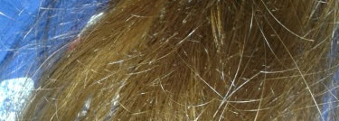 Маска для волос увлажняющая «Яичный мусс» Concept fusion mask egg mousse