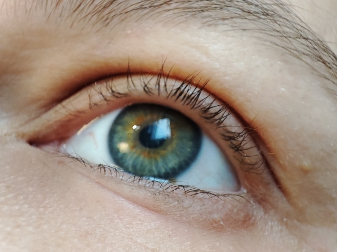 Ресницы без туши. Дневной свет у окна.