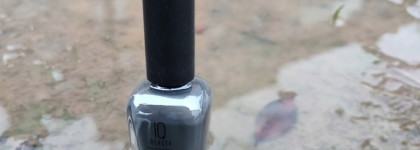 Палитра месяца: Сладкий серый ноябрь и Лак IQ Beauty Prolac + bioceramics в оттенке 030