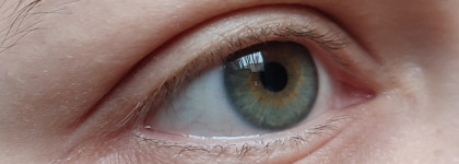 Макияж в палитре месяца: Ноябрь