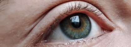 Макияж в палитре месяца. Ноябрь 2: Судный день