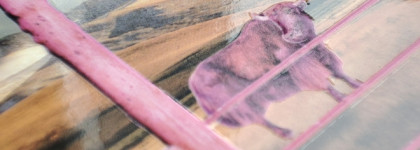 Клинт Иствуд был в шоке от этого: лучшая палетка Jeffree Star Mini Star Ranch Eyeshadow palette