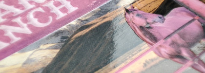 Клинт Иствуд был в шоке от этого: лучшая палетка Jeffree Star Mini Star Ranch Eyeshadow palette