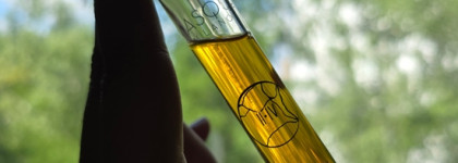 Пропа(х)ло лето: два нелетних аромата для лета 2025