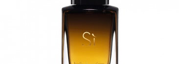 Si huile de parfum — бестселлер Giorgio Armani в новом формате