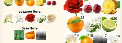 Promenade a Versailles Pour Elle Parfums du Château de Versailles - аромат для тех, кто скучает по Miss Dior Cherie 2005 года