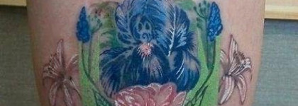 La Roche-Posay Cicaplast Baume B5 — уход за татуировками и не только