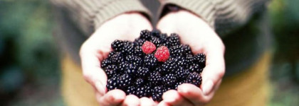 Flower Bouquet Romantique Mimmina — ежевичное вино