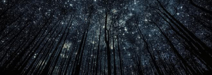 Platinum Crystal The House of Luxury Attars — аромат, согревающий душу