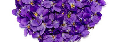 Violette Molinard — фиалковая нежнятина