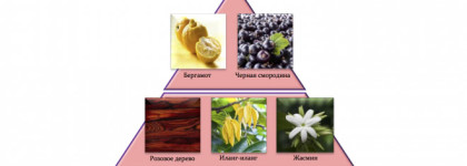 Aphrodisia Once Upon a Time (2016) — парфюмерная сказка от Brocard