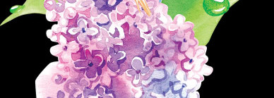 Gardens of Temptation — новая цветочная линейка от Brocard