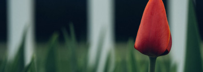 Женские ароматы Avon 2016 — хорошие и не очень