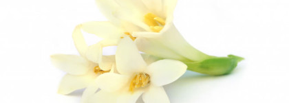 Gabrielle Chanel - закрытая предпремьера в Москве