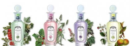 Aromati Prirodi Brocard — впасть в детство