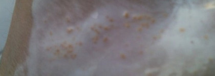 Программа для красивой кожи от Shiseido Benefiance WrinkleResist 24