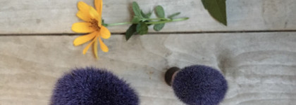 Кисти Real Techniques: Powder brush и Expert face brush