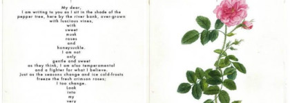 Bugia Bianca Giulietta Capuleti. Белая ложь