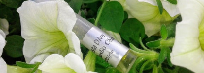 Edgardio Chilini Casta Diva