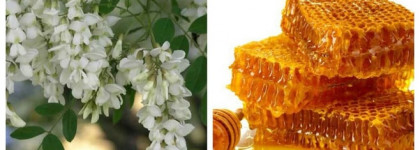 Le voyage Royal Maison des Fragrances