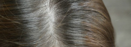 Londa Professional: крем-краска с микросферами Vitaflection и multiplay micro mousse