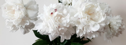 Jo Malone. Признание в любви