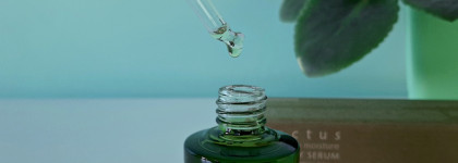 Whamisa - кактус и алоэ. Колючки для красоты