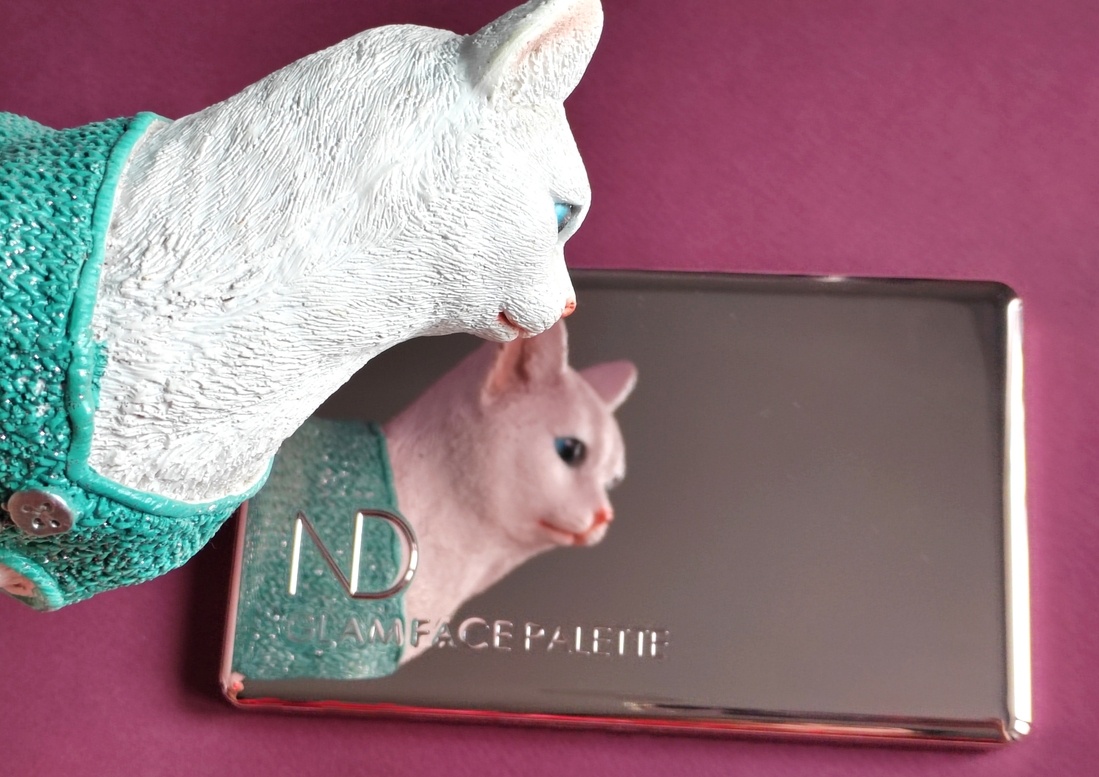 Зеркальная поверхность пластика. Моментально собирает отпечатки рук.