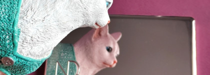 Палетка для макияжа лица Natasha Denona Glam Face Palette light