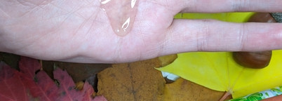 Уход за волосами - мои баночки-выручалочки в осенний сезон