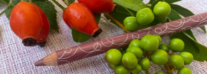 Взяла на сдачу, оказалось «топ» - тинт для бровей с хной Eveline и карандаши Luxvisage