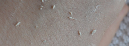 Holy Land White Peel with Lactic Acid