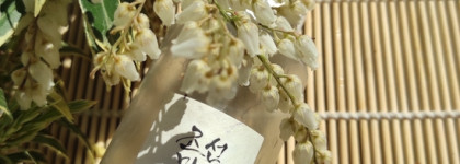 Десяток пустых баночек за март-2025