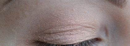 Giorgio Armani Eye Tint Fluid Eye Color № 11 Rose Ashes