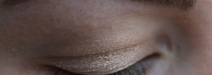 Dior 5 Couleurs Eyeshadow Palette 557 Focus