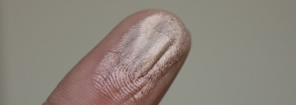 Dior 5 Couleurs Eyeshadow Palette 557 Focus