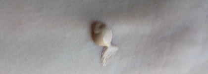 Моя косметичка на январь